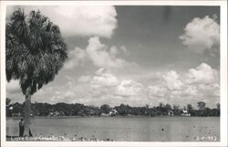 Lake Eola, Orlando, Florida Postcard