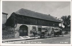 The Oldest House, Horse-Drawn Carriage, St. Augustine Postcard