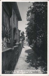 Treasury Street, Narrowest Street, St. Augustine, Florida Postcard