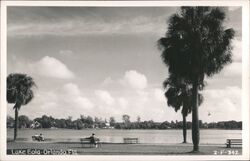 Lake Eola Park, Orlando, Florida Postcard