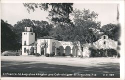 St. Augustine Alligator & Ostrich Farm Entrance Postcard