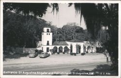 St. Augustine Alligator and Ostrich Farm Entrance Postcard