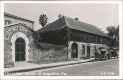 Webb Memorial, Oldest House, Horse Carriage Postcard