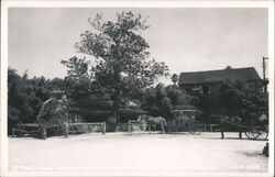 Oldest Wooden School House, Horses & Carriage Postcard