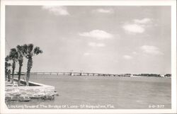 Bridge of Lions - St. Augustine, Florida Postcard