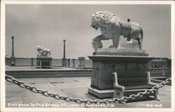 Entrance to Bridge of Lions Statues Postcard