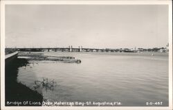 Bridge of Lions, Matanzas Bay Postcard