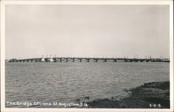 Bridge of Lions, St. Augustine, Florida Postcard