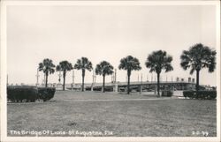 Bridge of Lions, St. Augustine, Florida Postcard