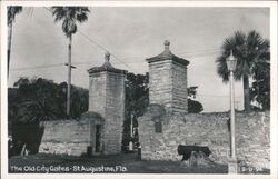 Old City Gates, St. Augustine, Florida Postcard