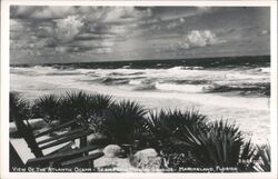 Atlantic Ocean View from Marine Studios Postcard