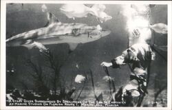 Diver with Sharks at Marine Studios, Marineland, Florida Postcard