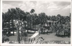 Marine Studios Fruit Shop, Marineland, Florida Postcard