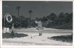 Marine Studios Entrance, Marineland, Florida Postcard