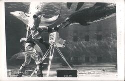 Diver with Dolphins & Ocean Floor News Camera, Marineland FL Postcard