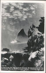 Marine Studios, Marineland FL - Ocean Floor in Immense Tank Postcard