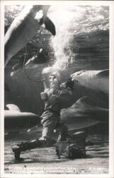 Diver with Dolphins, 20,000 Leagues Under the Sea, Marineland Postcard