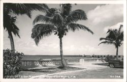 Edison Memorial Bridge, Fort Myers, FL Postcard