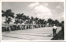 Shuffleboard Courts in Fort Myers, Florida Postcard