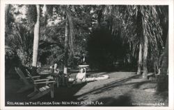 Women Relaxing in Adirondack Chairs, New Port Richey, FL Postcard