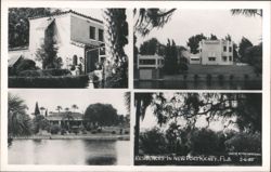 Residences in New Port Richey, Florida Postcard