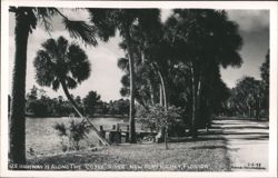 Cotee River, New Port Richey, Florida - Scenic Highway 19 View Postcard