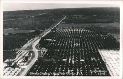 Aerial View of Orange Groves in New Port Richey, FL Postcard