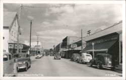 Wauchula, Florida Main Street Scene Postcard