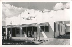 Wauchula, FL US Post Office Postcard