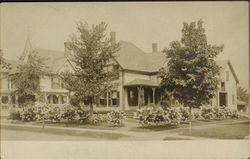 Tree Lined Street and Homes Postcard