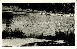 Old Swimming Hole Postcard