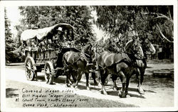 Covered Wagon Rides, Buena Park Postcard