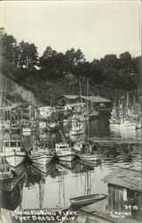 Nova Fishing Fleet Postcard