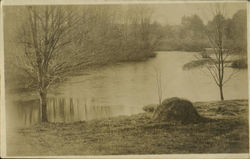 River Scene Postcard