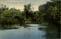 View In Red Creek Lockport, NY Postcard Postcard