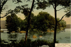 White Birch Island, Oscawaha Lake Postcard