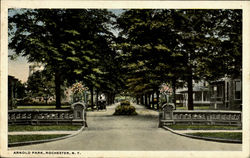 Arnold Park Rochester, NY Postcard Postcard