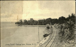 Long Point Aurora, NY Postcard Postcard