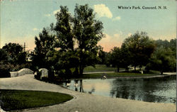 White's Park Concord, NH Postcard Postcard