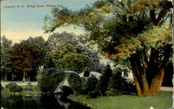 Bridge Scene, White's Park Postcard