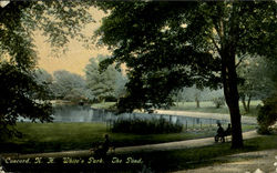 The Pond, White's Park Postcard