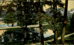 Scene Showing Fountian, White's Park Postcard