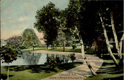 Scene In White's Park Lower Pond Postcard