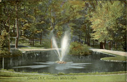 Fountian, White's Park Postcard