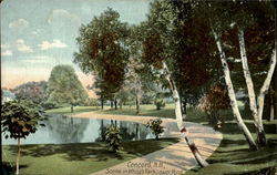 Scene In White's Park Lower Pond Concord, NH Postcard Postcard