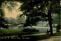 The Pond, White's Park Postcard