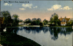 Pond, White's Park Postcard