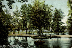 White's Park Postcard