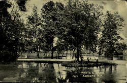 White's Park Concord, NH Postcard Postcard