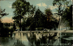 View In White's Park Postcard